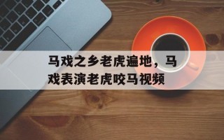 马戏之乡老虎遍地，马戏表演老虎咬马视频