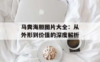 马粪海胆图片大全：从外形到价值的深度解析