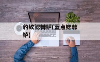 豹纹鳃棘鲈(蓝点鳃棘鲈)