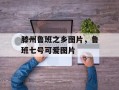 滕州鲁班之乡图片，鲁班七号可爱图片