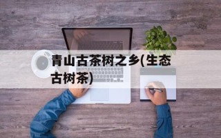 青山古茶树之乡(生态古树茶)