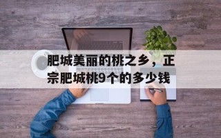 肥城美丽的桃之乡，正宗肥城桃9个的多少钱