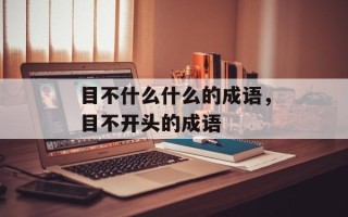 目不什么什么的成语，目不开头的成语