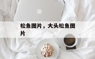 松鱼图片，大头松鱼图片