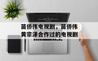 苗侨伟电视剧，苗侨伟黄宗泽合作过的电视剧