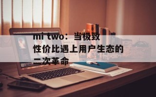 mi two：当极致性价比遇上用户生态的二次革命