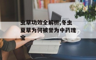 虫草功效全解析,冬虫夏草为何被誉为中药瑰宝