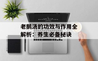 老鹅汤的功效与作用全解析：养生必备秘诀