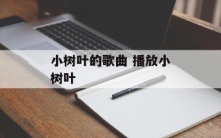 小树叶的歌曲 播放小树叶