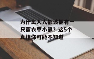 为什么人人都该拥有一只薰衣草小熊？这5个真相你可能不知道