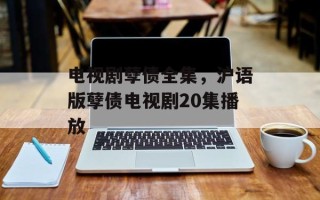 电视剧孽债全集，沪语版孽债电视剧20集播放