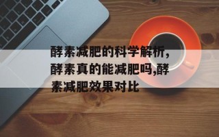 酵素减肥的科学解析,酵素真的能减肥吗,酵素减肥效果对比