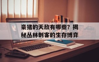 豪猪的天敌有哪些？揭秘丛林刺客的生存博弈