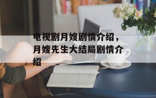 电视剧月嫂剧情介绍，月嫂先生大结局剧情介绍