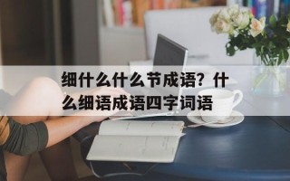 细什么什么节成语？什么细语成语四字词语