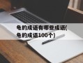 龟的成语有哪些成语(龟的成语100个)