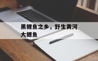 黑鲤鱼之乡，野生黄河大鲤鱼