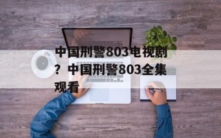 中国刑警803电视剧？中国刑警803全集观看