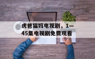 虎爸猫妈电视剧，1—45集电视剧免费观看