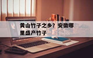 黄山竹子之乡？安徽哪里盛产竹子