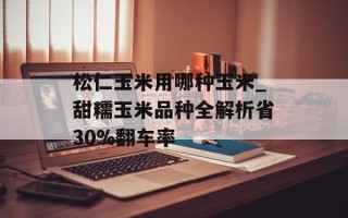 松仁玉米用哪种玉米_甜糯玉米品种全解析省30%翻车率