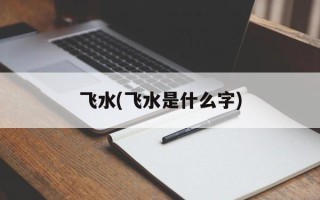 飞水(飞水是什么字)