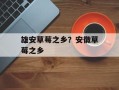 雄安草莓之乡？安徽草莓之乡