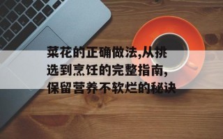 菜花的正确做法,从挑选到烹饪的完整指南,保留营养不软烂的秘诀