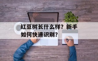 红豆树长什么样？新手如何快速识别？