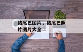 猪尾巴图片，猪尾巴照片图片大全