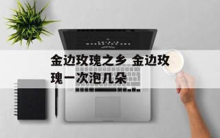 金边玫瑰之乡 金边玫瑰一次泡几朵