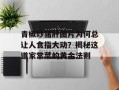 青椒炒猪肝图片为何总让人食指大动？揭秘这道家常菜的黄金法则