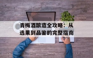 青梅酒酿造全攻略：从选果到品鉴的完整指南