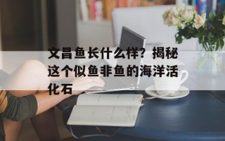 文昌鱼长什么样？揭秘这个似鱼非鱼的海洋活化石