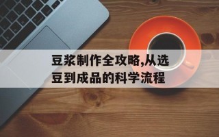 豆浆制作全攻略,从选豆到成品的科学流程