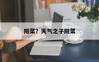 阳菜？天气之子阳菜
