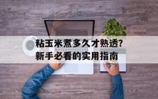 粘玉米煮多久才熟透？新手必看的实用指南