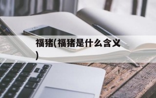 福猪(福猪是什么含义)