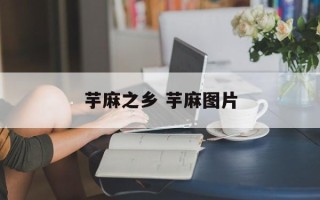 芋麻之乡 芋麻图片