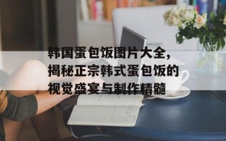 韩国蛋包饭图片大全,揭秘正宗韩式蛋包饭的视觉盛宴与制作精髓
