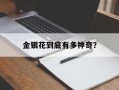 金银花到底有多神奇？
