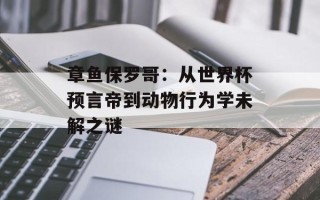 章鱼保罗哥：从世界杯预言帝到动物行为学未解之谜