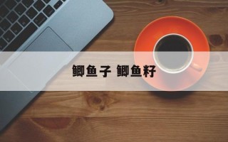 鲫鱼子 鲫鱼籽