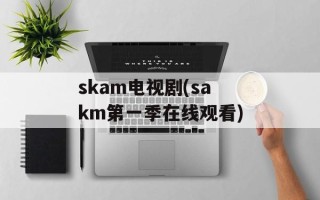 skam电视剧(sakm第一季在线观看)