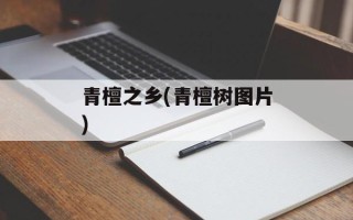 青檀之乡(青檀树图片)