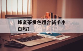 蜂蜜茶发色适合新手小白吗？