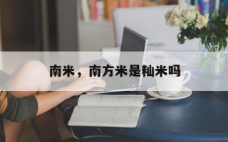 南米，南方米是籼米吗