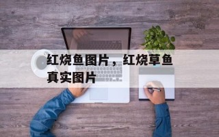 红烧鱼图片，红烧草鱼真实图片