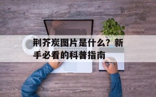 荆芥炭图片是什么？新手必看的科普指南