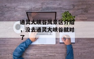 通灵大峡谷风景区介绍，没去通灵大峡谷就对了
